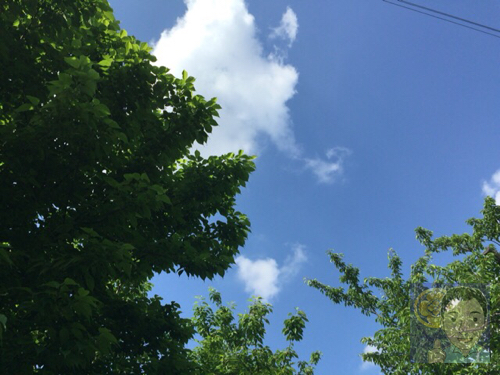 コンデジ散歩 2016-5-13