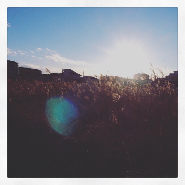 気になる風景写真・夕暮れ散歩